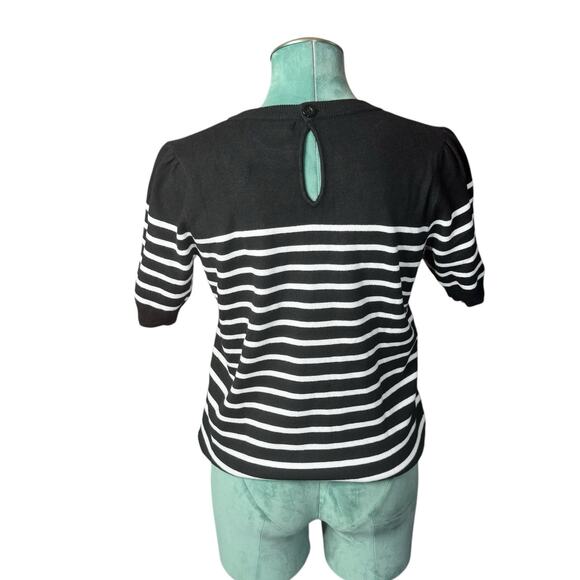 NWT Women's Zesica Crew Neck Pullover Ribbed T Shirt Black Striped Knit Size M - Picture 3 of 8